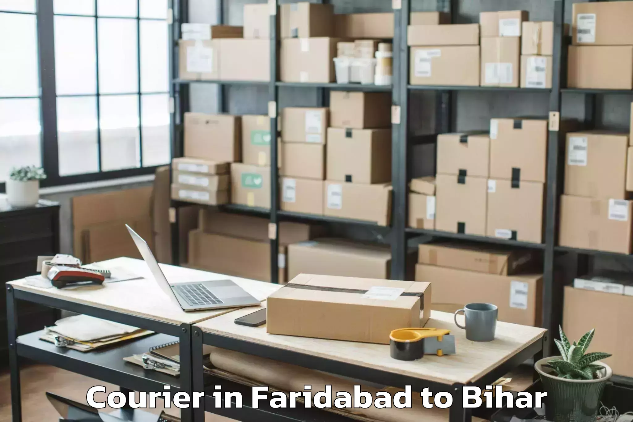 Expert Faridabad to Gaunaha Courier